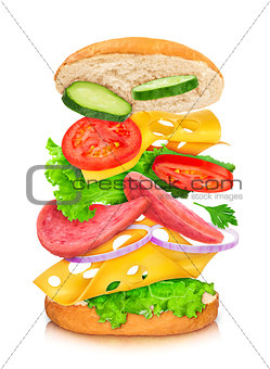 sandwich with reflection and falling ingredients on a white back