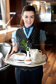 Profile shot of a cheerful female waitress