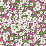 abstract floral ornament on pink