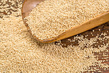 amarnath grain scoop