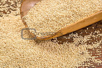 amarnath grain scoop