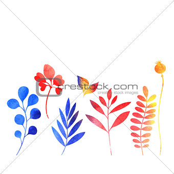 set of watercolor plants