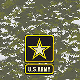 Green army camouflage background