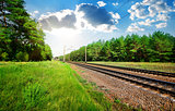 Railroad and pine forest