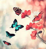 Flowers And Butterflies