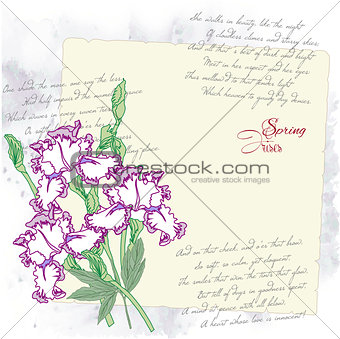 Background with irises
