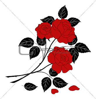 Flowers rose, silhouette
