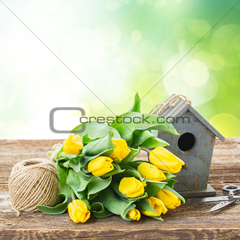 Yellow tulips  with birdcage