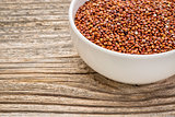 red quinoa grain