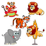 Funny circus animals