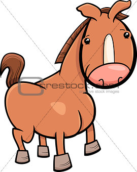 little horse or foal cartoon