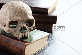 Skull On Books