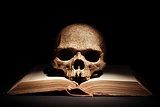 Skull On Book