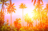 Tropical background