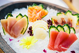 various kind of fresh raw sashimi