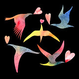 watercolor bird lovers