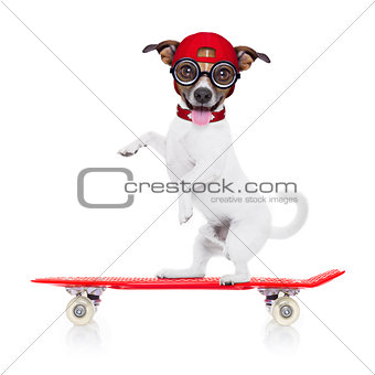 skater  boy dog