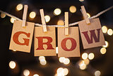 Grow Concept Clipped Cards and Lights
