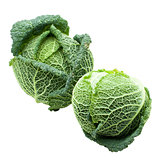 Two Heads of ripe Savoy cabbage isolated