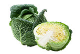 Head of ripe Savoy cabbage and half isolated