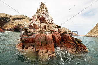 sea lion on rocky formation Islas Ballestas, paracas