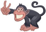 Monkey showing two fingers Victory gesture. Greeting