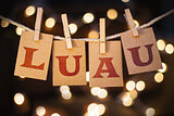 Luau Concept Clipped Cards and Lights