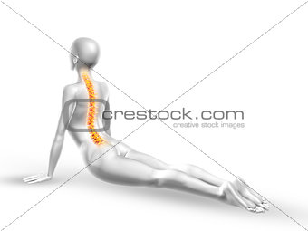 3D female medical figure with spine in yoga position
