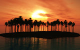 Palm tree island at sunset