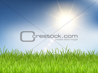 Grass and sunny blue sky 