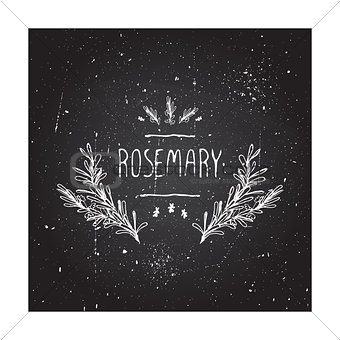 Herbs and Spices Collection - Rosemary