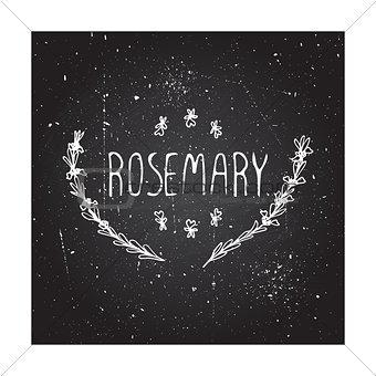 Herbs and Spices Collection - Rosemary