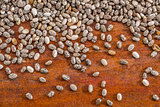 chia seeds close up background