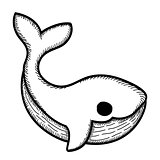 Hand drawn Cartoon Whale