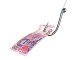 Banknote of ukrainian money on the fishing hook