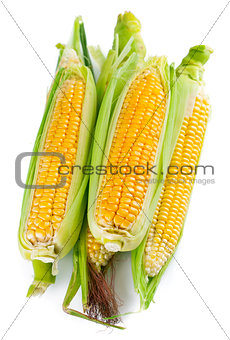 Fresh corn with green leaf