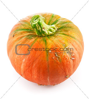 Fresh pumpkin ripe vegetable