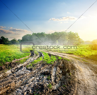 Blurred road in countryside