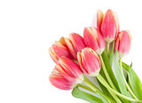 Colorful tulips bunch
