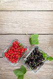Fresh ripe currant berries