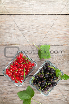 Fresh ripe currant berries