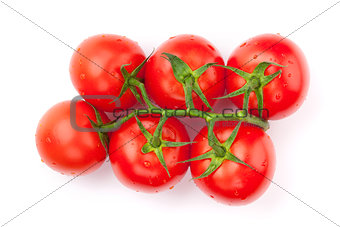 Fresh ripe clean tomatoes with water drops