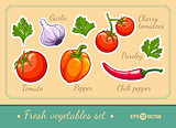 Set of fresh vegetables cherry tomato pepper garlic chili and parsley