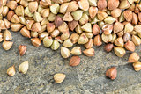 buckwheat grain background