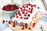 Delicious homemade cranberry loaf cake