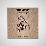 Herbs and Spices Collection - Turmeric