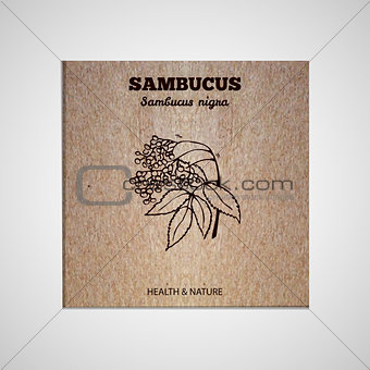 Herbs and Spices Collection - Sambucus