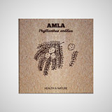 Herbs and Spices Collection - Amla