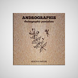 Herbs and Spices Collection - Andrographis