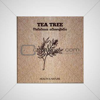 Herbs and Spices Collection - Tea tree